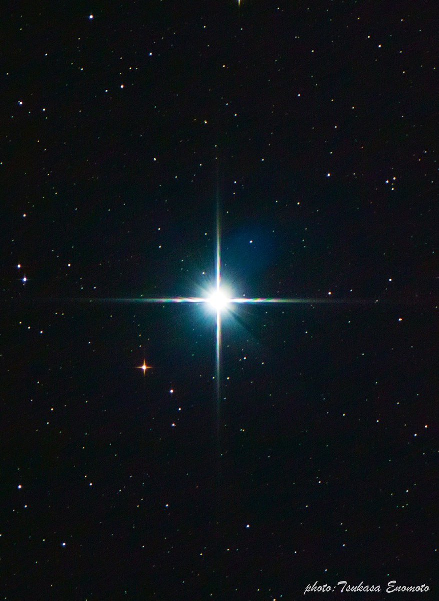 りゅうこつ座の1等星カノープスは、地球から約309光年の距離にあり、おおいぬ座のシリウスに次いで全天で2番目の明るさを誇る星です。

中国では南極老人星ともよばれ、南の空低く見にくいことから、カノープスは幸運の星で、見ることができると長寿に恵まれるという言い伝えもあります。