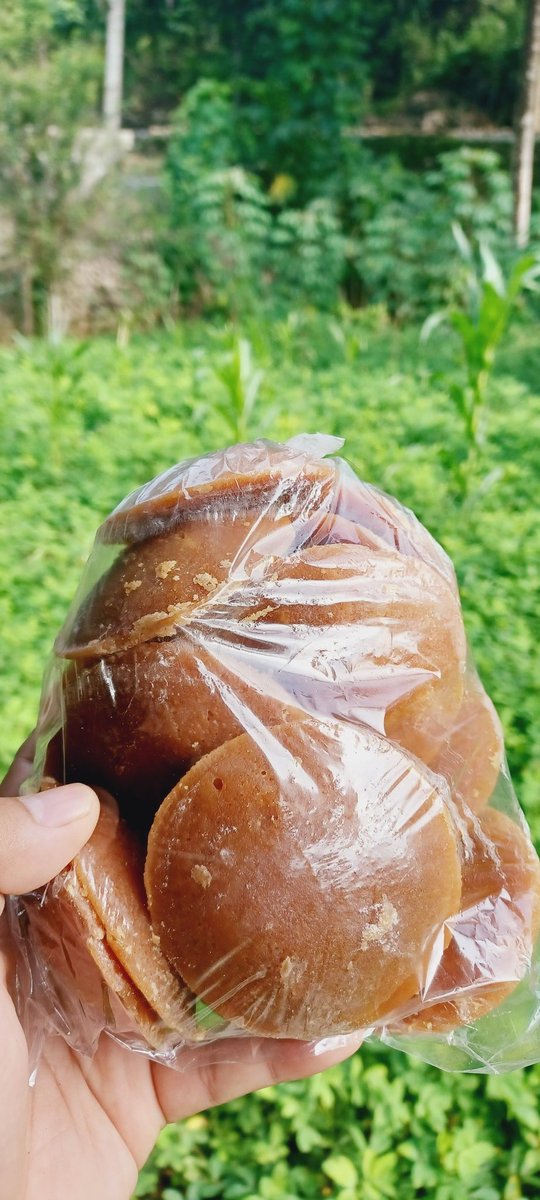 angsaa23's tweet image. Gula Merah Asli Jawa – Manis Alami, Sejuta Manfaat! 🍯✨

Nikmati kelezatan Gula Merah Asli yang dibuat dari nira kelapa pilihan, diolah secara tradisional oleh tangan-tangan terampil Jawa. 
Silahkan diorder s.shopee.co.id/3LD0Yu0NSU