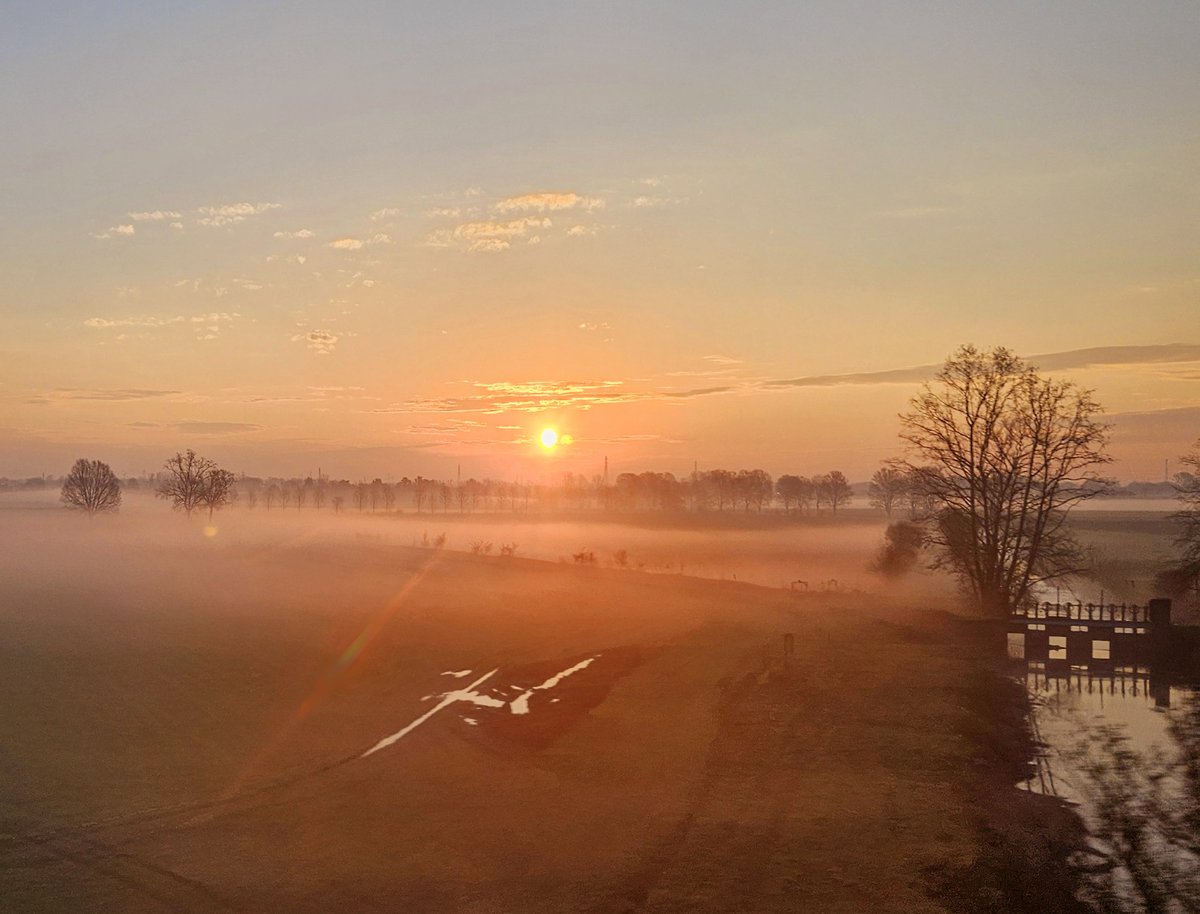 AndreaGiuricin's tweet image. A bordo di un #treno #AltaVelocità si puo vedere l'#alba appena fuori #Milano con bruma mattutina che avvolge i tronchi degli #alberi.