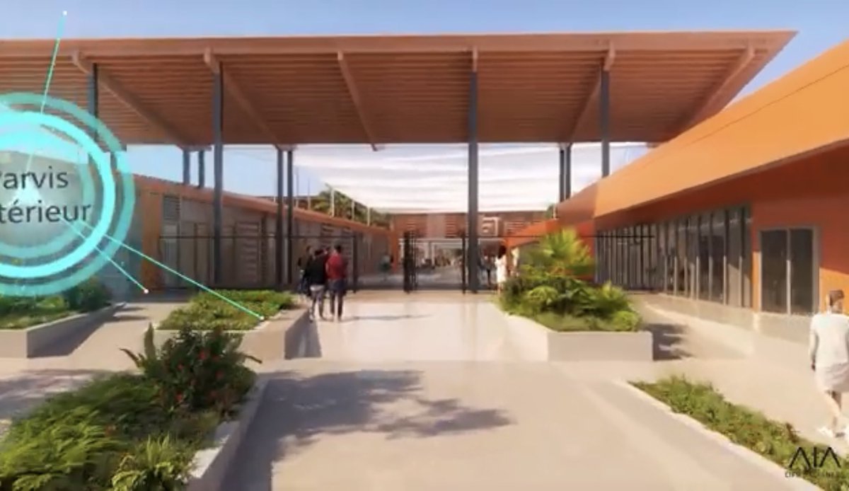 MP 974👨🏽🏫🌍⏳🏺🐈🐝✈️🇷🇪🇫🇷 tweet media