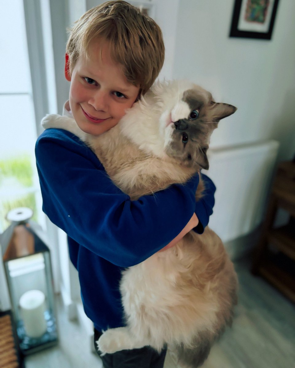 Good morning #teacher5oclockclub and Happy Wednesday - we made it to mid week! This is my Y6 child with our seriously massive floofball 🫶🏻 have a fab day everyone! #edutwitter #TEACHers #teachersoftwitter