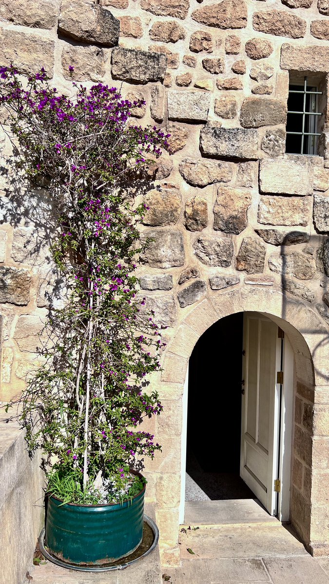 🥀

AN-I SEYYALE

Yalın yürek
geçmeyecektim 
İçimin dehlizinden 

Can kırıklarım 
kan revan…

-anka kuşu-

#cankırıkları  

Fotoğraf: Anka kuşu