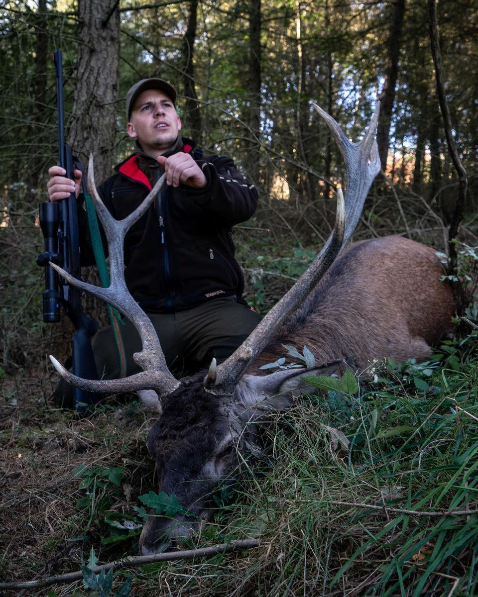 RidgeOakClub's tweet photo. First Polish red stag in the books. Headed out at 4:30AM with our guide Zbyszek—after a slow evening yesterday, this morning delivered. One shot at 6:20, short track, clean end. Full rut film coming soon.#StagHunting #HuntingTrip #GuideZbyszek #HuntingMemories https://t.co/sqnEaRzrMy
