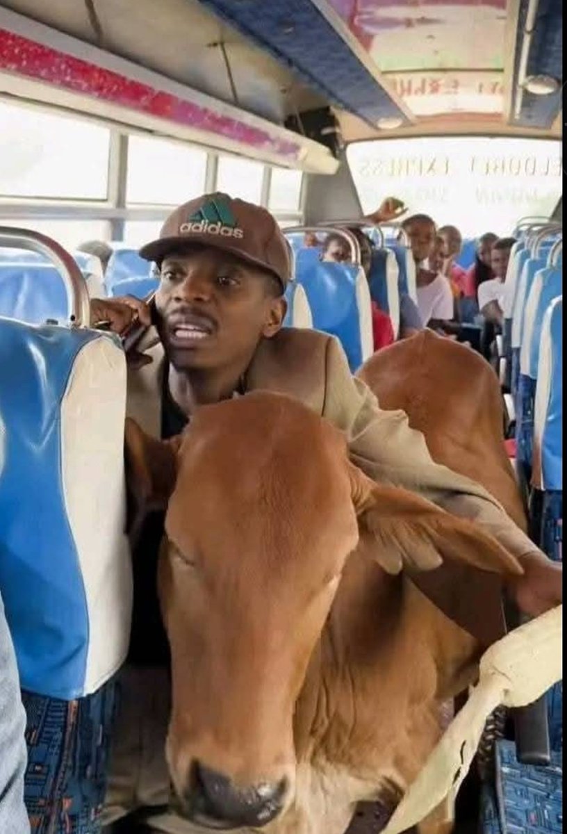 Me after they remove the redline🤭