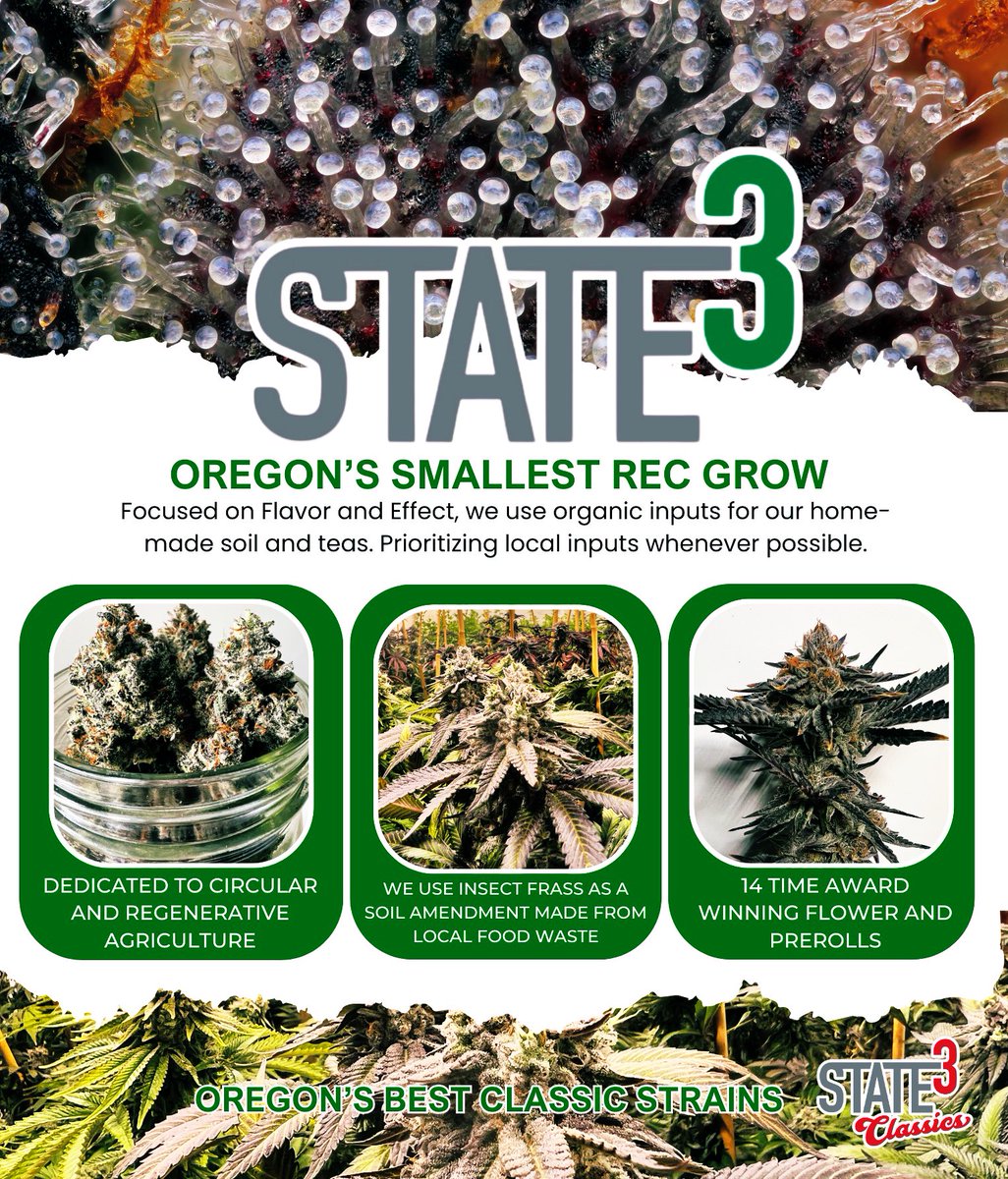 Mrs. State³ made a pretty cool info sheet for me to take to our vendor day. It turned out really cool and summarizes our little farm really well. It was so nice to chat with customers and budtenders. I need to do more of these things!