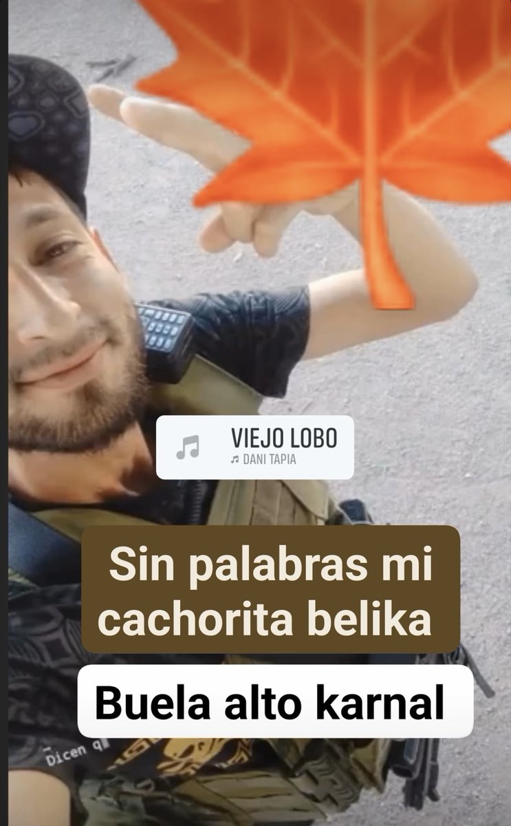 MataSalas123's tweet image. 📍#Altar Dan de Baja al “Marihuano" Beltran de Los Cazadores 🚨

En un enfrentamiento que sostuvo contra los deltas de la chapizza 🍕 perdio la vida el marihuana Beltrán del grupo los cazadores/Salazar .

D.E.P 🕊️