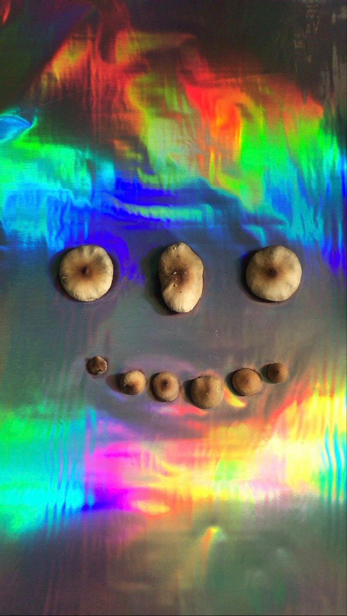 INTERKEVS's tweet image. My Art explores a dreamlike mystic world. I capture moments of tenderness, consciousness and nature, visions from dreams and extrasensory experiences. Fungiform creatures, sacred geometry, and magical beings in drawing, collage, and sculpture, with lights, clay, and spores (ESP⤵️