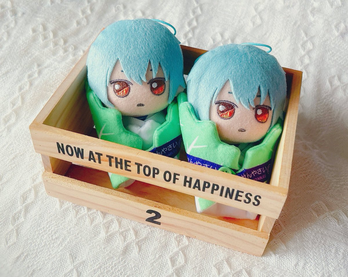 これは白菜のェケチェン🌷