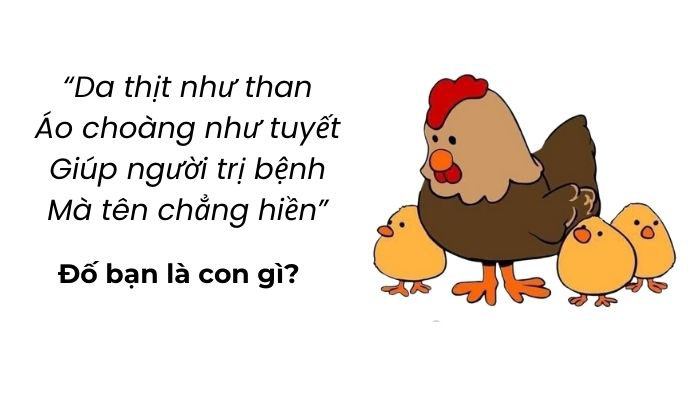 Đố vui ai thông minh hơn học sinh tiểu học nào