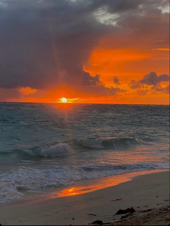 VictorObah46591's tweet image. 