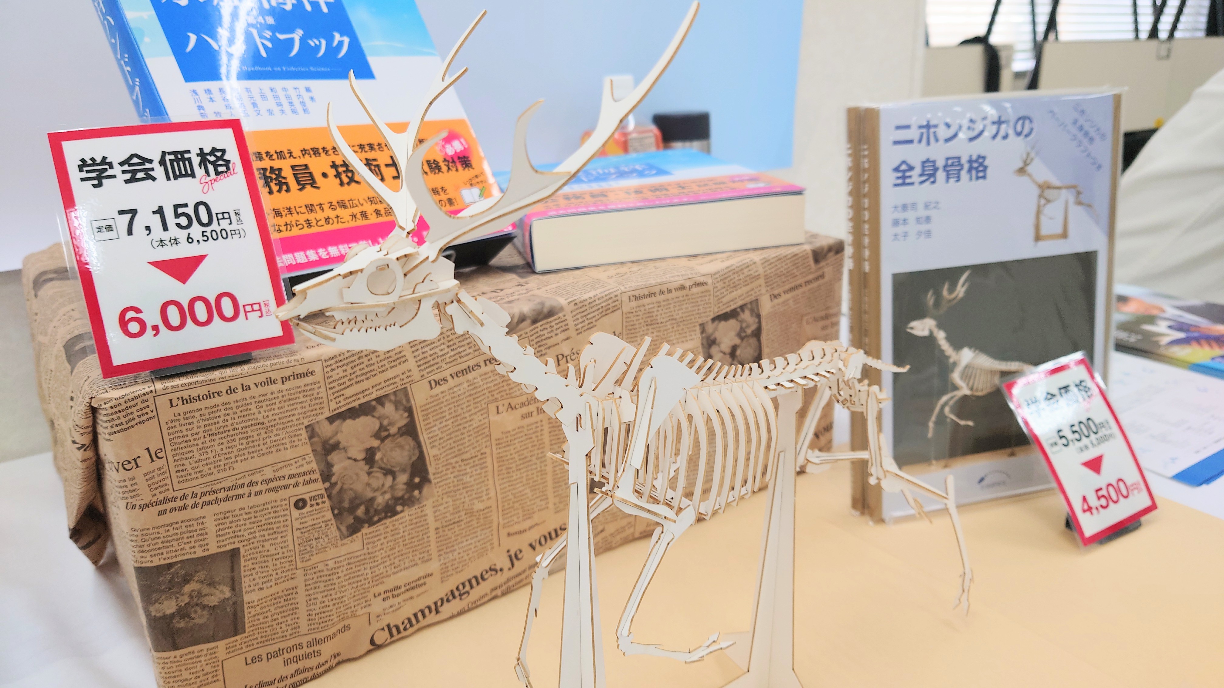 🐙生物研究社(海洋と生物)🐟 (@aquabiology) / X 🐙生物研究社(海洋と生物)🐟 (@aquabiology) / X