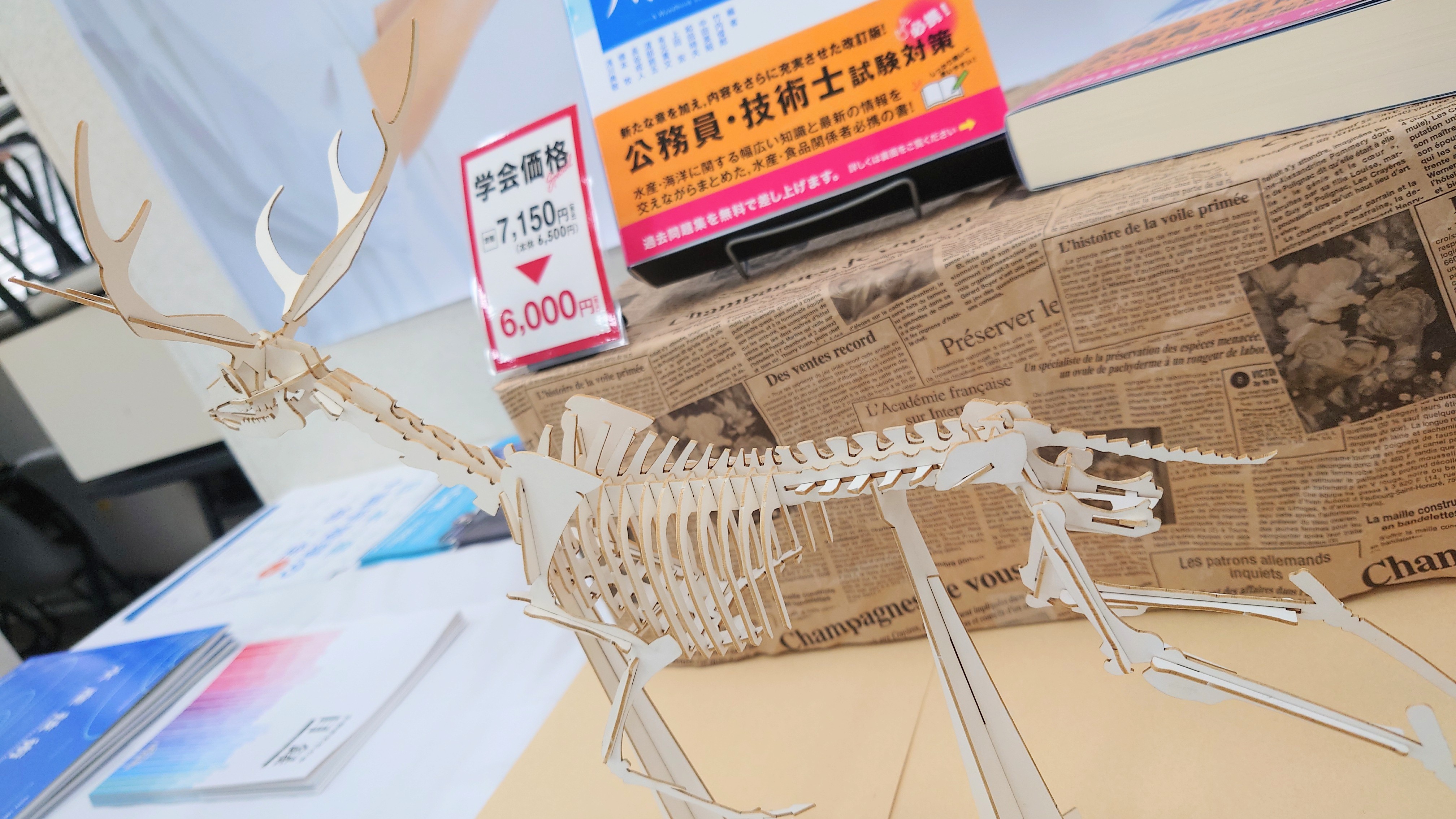 🐙生物研究社(海洋と生物)🐟 (@aquabiology) / X 🐙生物研究社(海洋と生物)🐟 (@aquabiology) / X