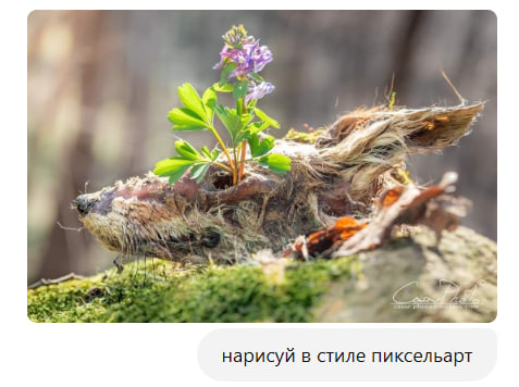 Zarkua tweet media