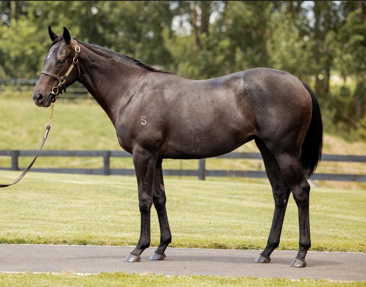 Woburn Farm tweet media