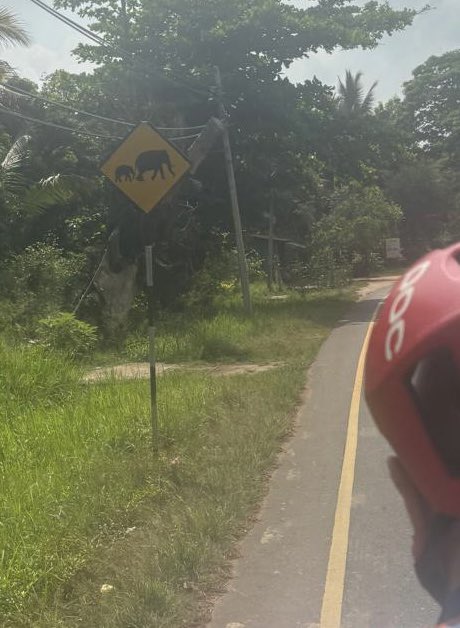 kevinsm20002000's tweet image. Three days into our tour of Sri Lanka. Rest day today at Sirigiya to climb Lion Rock