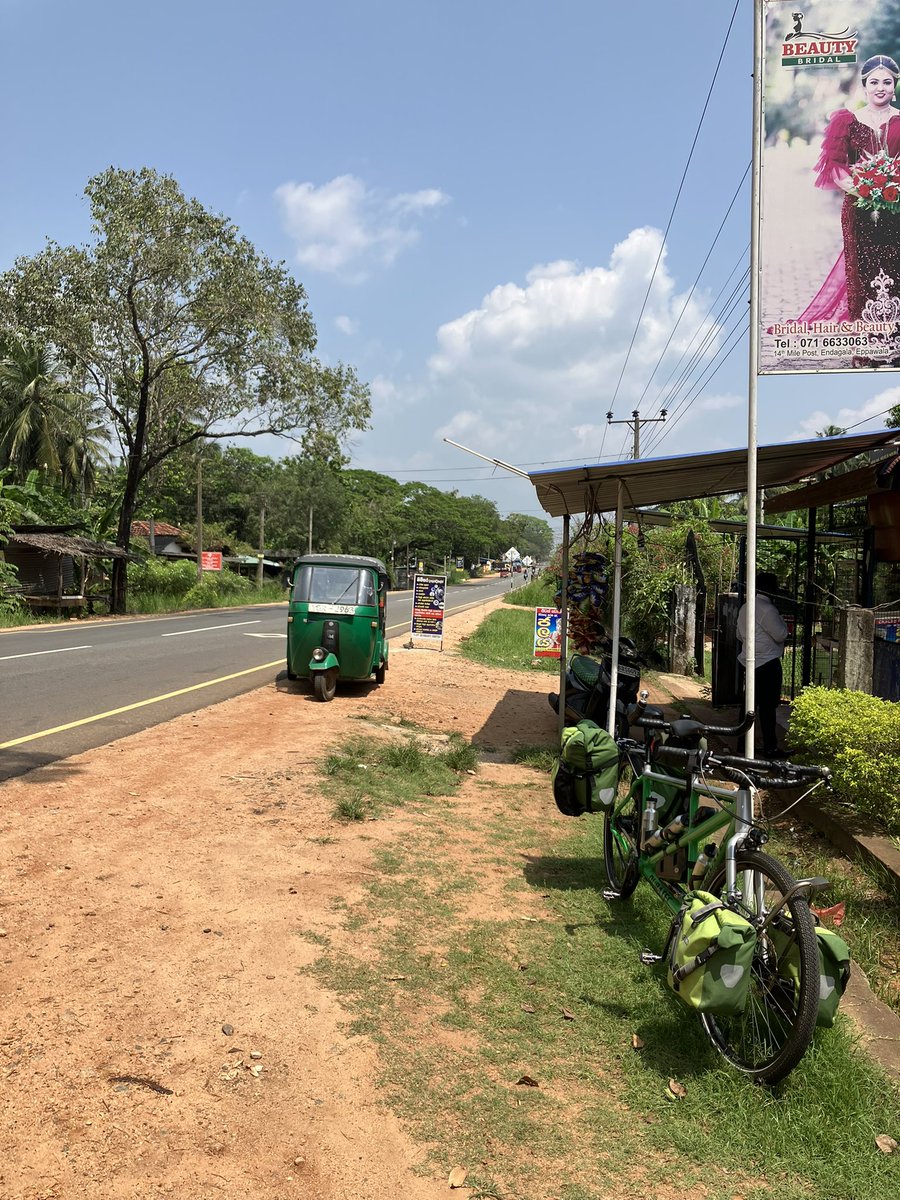 kevinsm20002000's tweet image. Three days into our tour of Sri Lanka. Rest day today at Sirigiya to climb Lion Rock