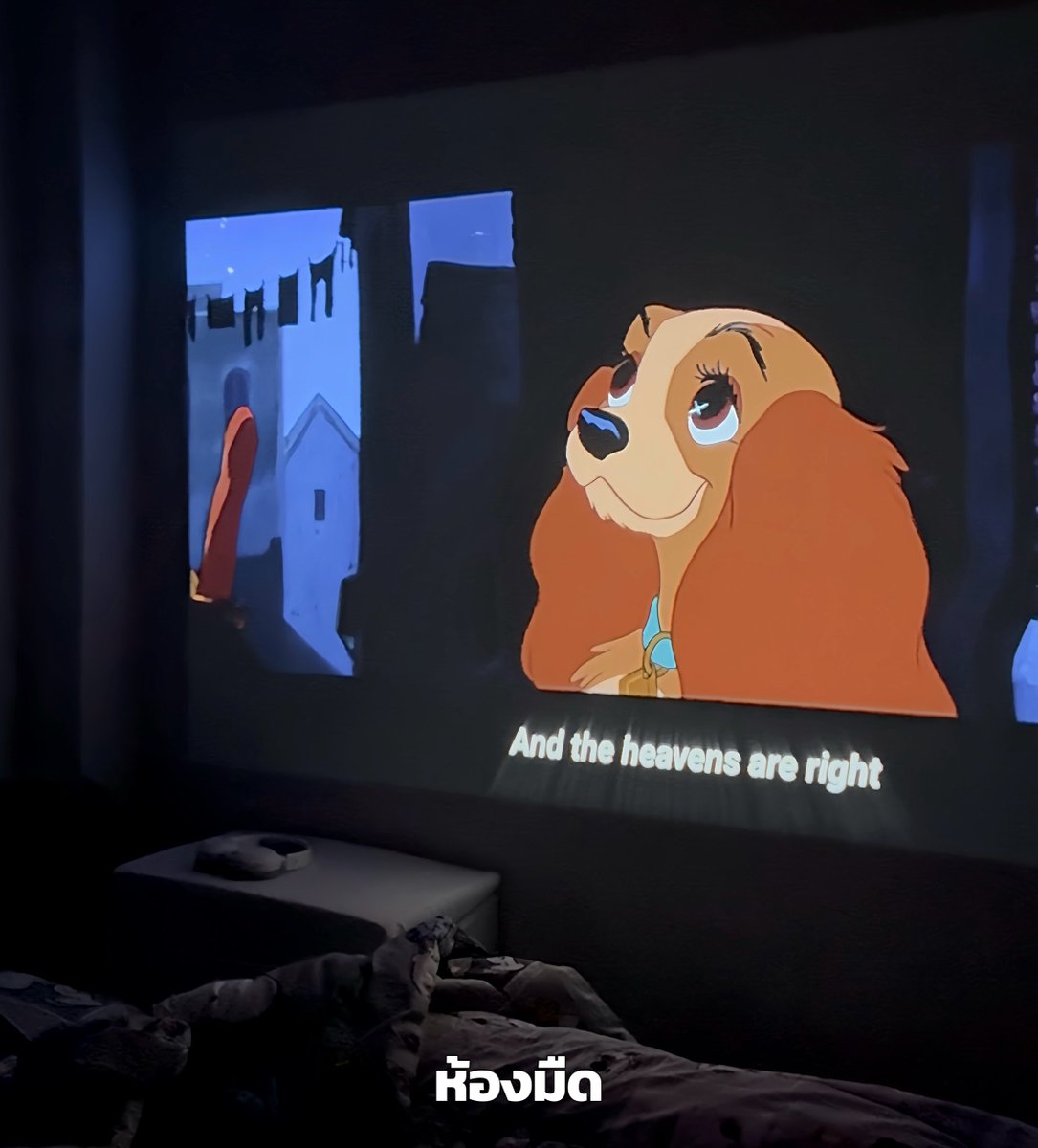 ชอบลายเส้น Disney Classic มาก 🥹 ย้อนวัยฮีลใจขั้นสุด แล้วทุกเรื่องละมุนตุ้น เพิ่งได้ดู Lady and the Tramp 1955  เก่าแต่น่ารักมาากกก เพลงเพราะมีเสน่ห์มาก ๆ ขึ้น ปจต.จอใหญ่กว่าเตียงไปเลย ฟิน https://t.co/NYsDTpx2Sy