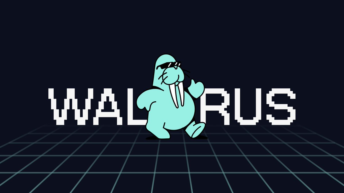 Walrus 主网明天启动，SUI 史上最大空投来了！

明天Walrus 主网正式上线了，说是迄今为止SUI最大的空投真的一点都不过分！前几天Walrus 宣布融资1.4亿美金的时候，大家都沸腾了，也就意味你撸到的海象的空投，小毛变超级大毛了！感觉这轮融资很早就谈妥了，只是等官宣，所以官推才敢直接喊话 “SUI