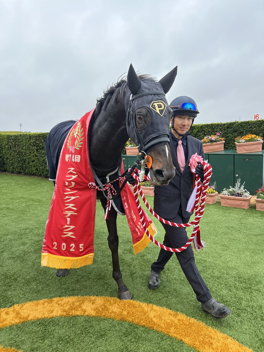 ピコレーシング tweet media