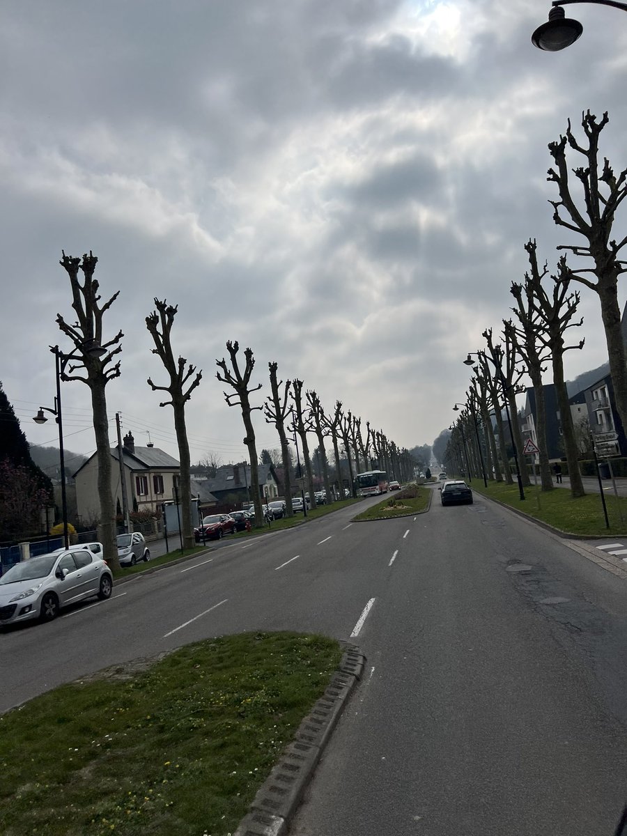 Honfleur -such a lovely town and wow what a treat -seafood platter and the chefs that cooked it! And an old cheese I remember well from my Dorchester days,at a village nearby.Pont LEveque love that cheese!