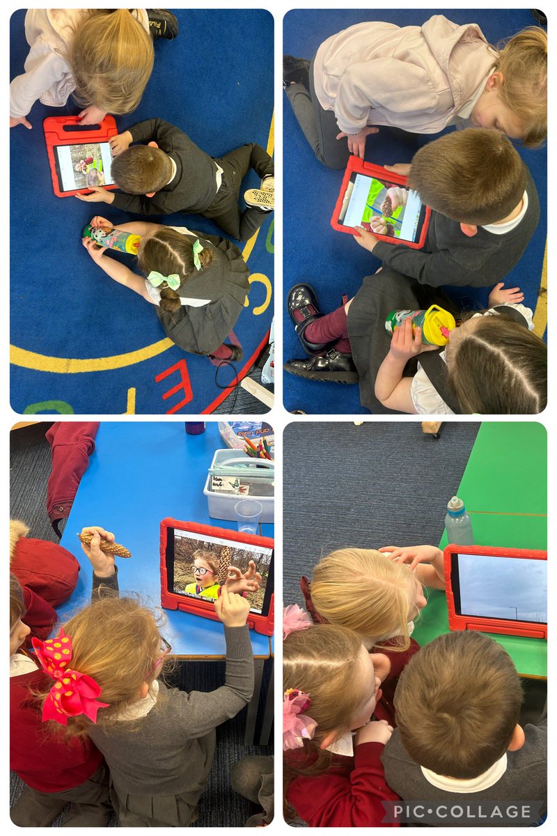 We went on a sense walk to the woods to explore our sense of sight. We took some pictures of things we found on our walk and then shared our favourite photographs with our friends 👀