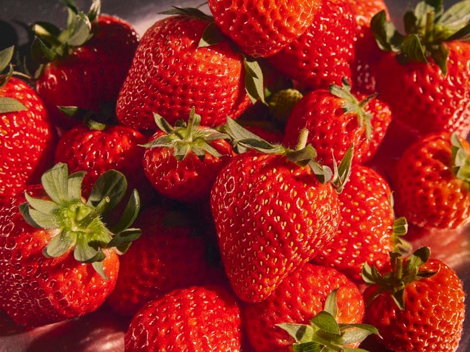 These Strawberries Are Grown With #Robots—And They’re Incredible

#ai #generativeai #agenticai #digitaltransformation #gitex <a href="/IanLJones98/">Ian Jones</a> <a href="/Shi4Tech/">💙 #TechForGood 💙</a> <a href="/FrRonconi/">Franco Ronconi 🇮🇹</a> <a href="/bimedotcom/">BusinessIntelligence</a> <a href="/richardturrin/">Richard Turrin</a> <a href="/Khulood_Almani/">Dr. Khulood Almani | د.خلود المانع</a> <a href="/enilev/">Eveline Ruehlin</a> <a href="/Nicochan33/">Nicolas Babin</a> <a href="/JimHarris/">Jim Harris</a> <a href="/lyakovet/">Irene at SaugaTalks🎧🎙</a> <a href="/GlenGilmore/">Glen Gilmore</a> <a href="/efipm/">Dr Efi Pylarinou</a> <a href="/Xbond49/">Xavier Gomez</a>