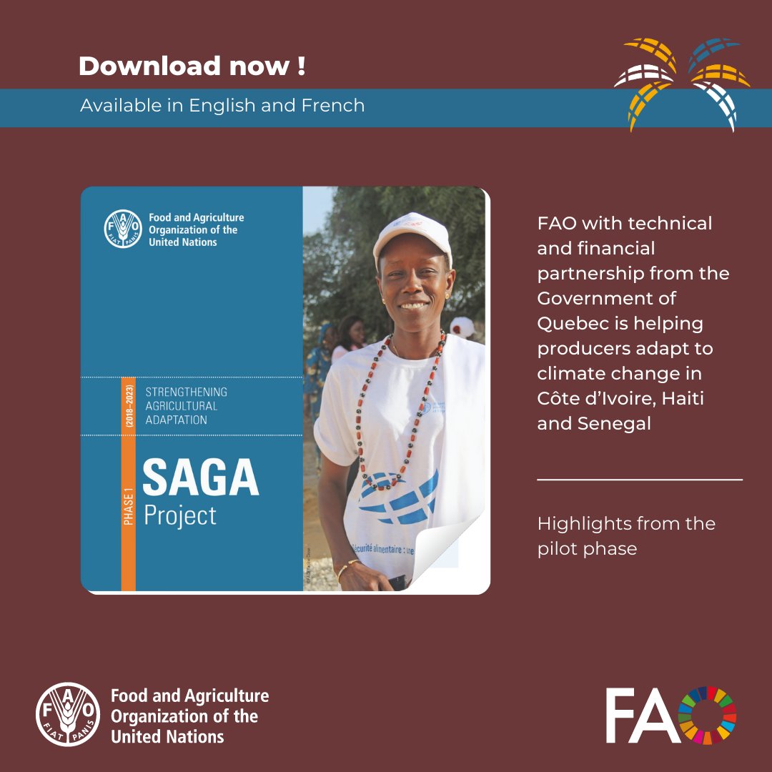 #DYK that #SAGA2 is <a href="/FAO/">Food and Agriculture Organization</a> 's second project funded by <a href="/MRIF_Quebec/">Relations internationales du Québec</a>?

Building on its successful pilot phase, it help farmers adapt to #climatechange in Côte d’Ivoire 🇨🇮, Haiti 🇭🇹and Senegal 🇸🇳.

Learn more 👉 bit.ly/4i5a86c

#FAO80 #Francophonie