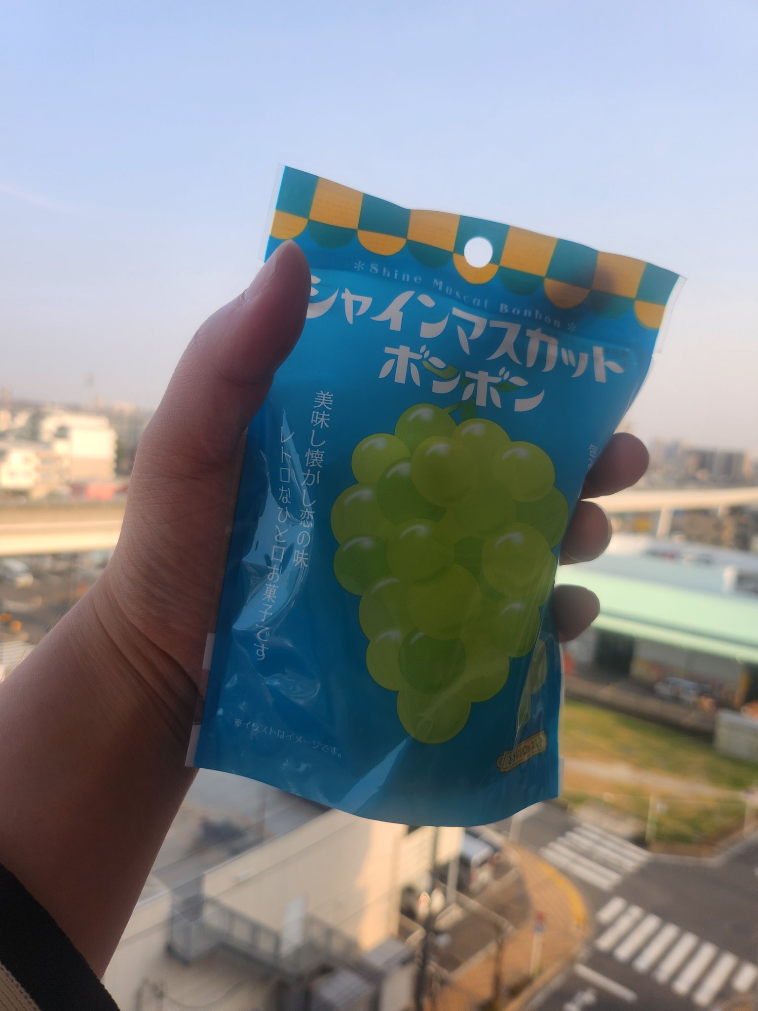 ♡シャインマスカットボンボン♡最終値下げ 楽天市場】※訳あり:賞味期限2025年7月15日 即日発送【シャイン