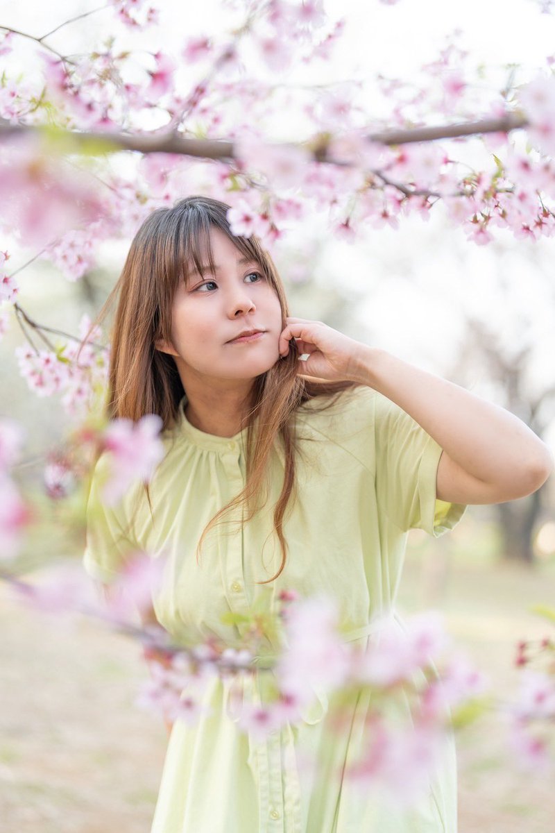春が、来たね🌸🌸
