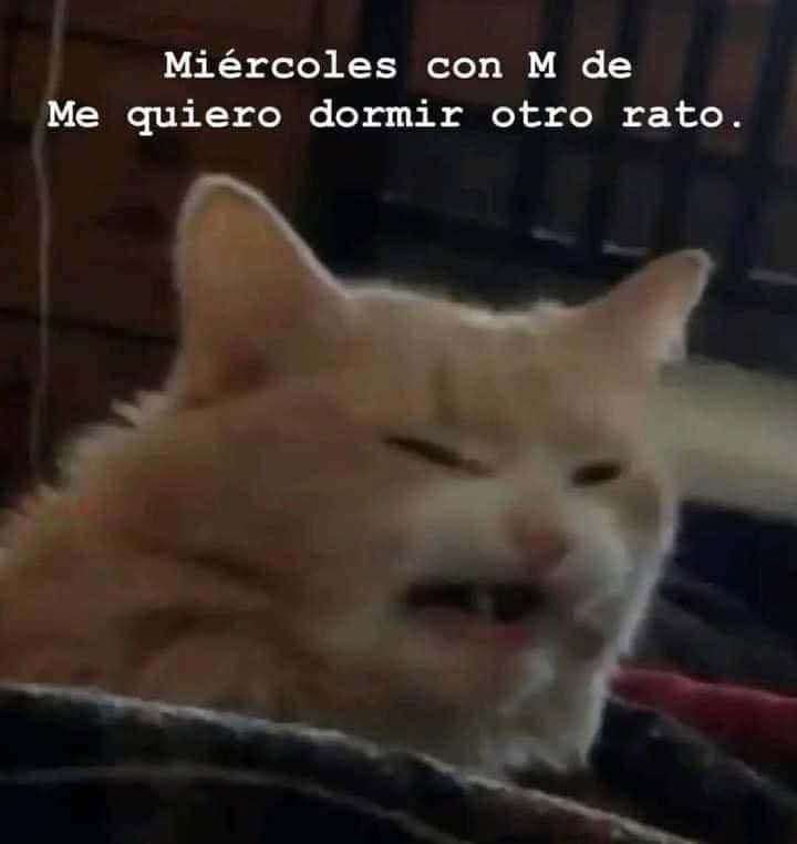 En_jupiter_'s tweet image. 