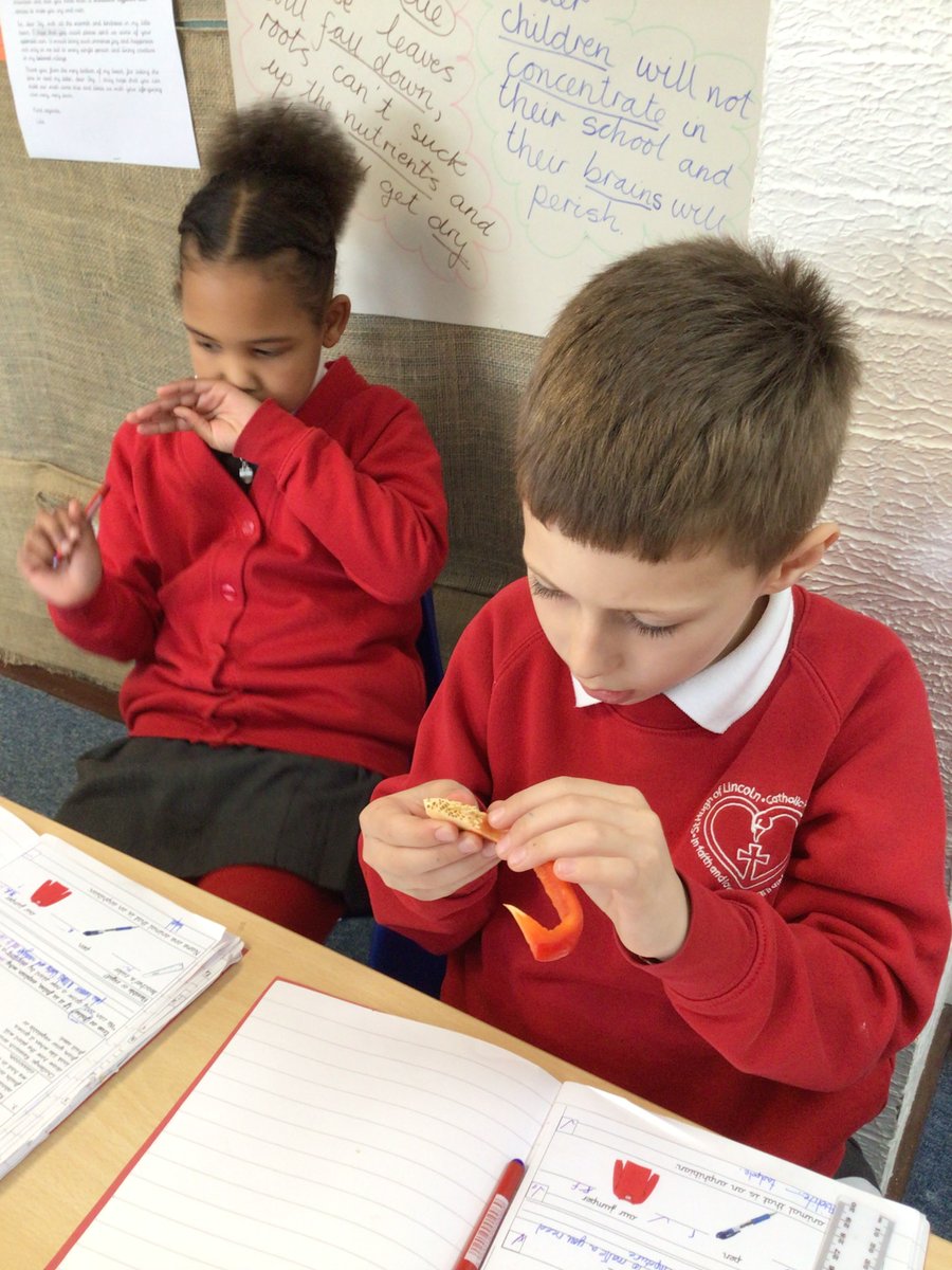 St Hugh of Lincoln tweet media