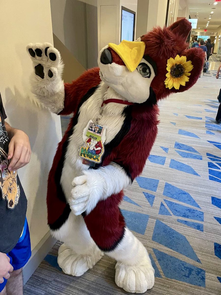 knoxx1616's tweet image. Cheese