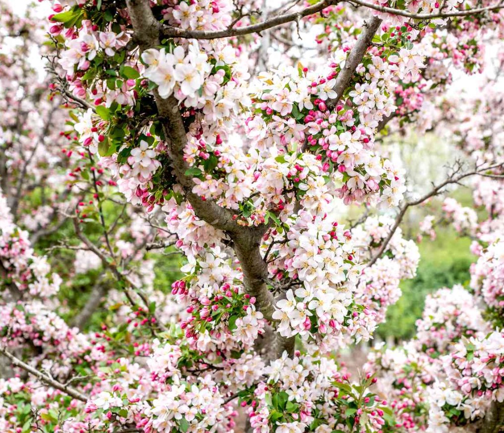 TreeHouseLearn's tweet image. Easter Holiday Workshops Now Booking! 🐣 - mailchi.mp/4a2726c1d567/e…