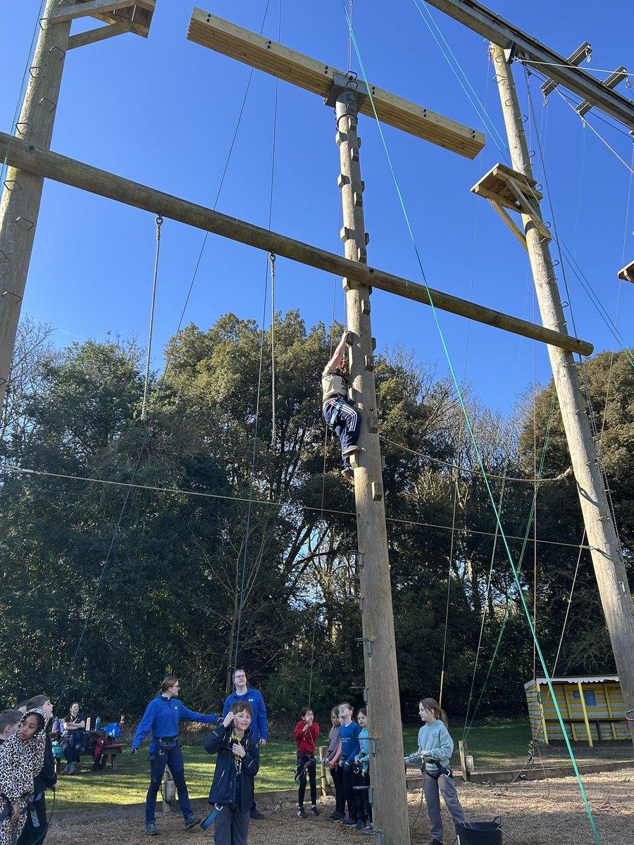 BVS Year 4 tweet media