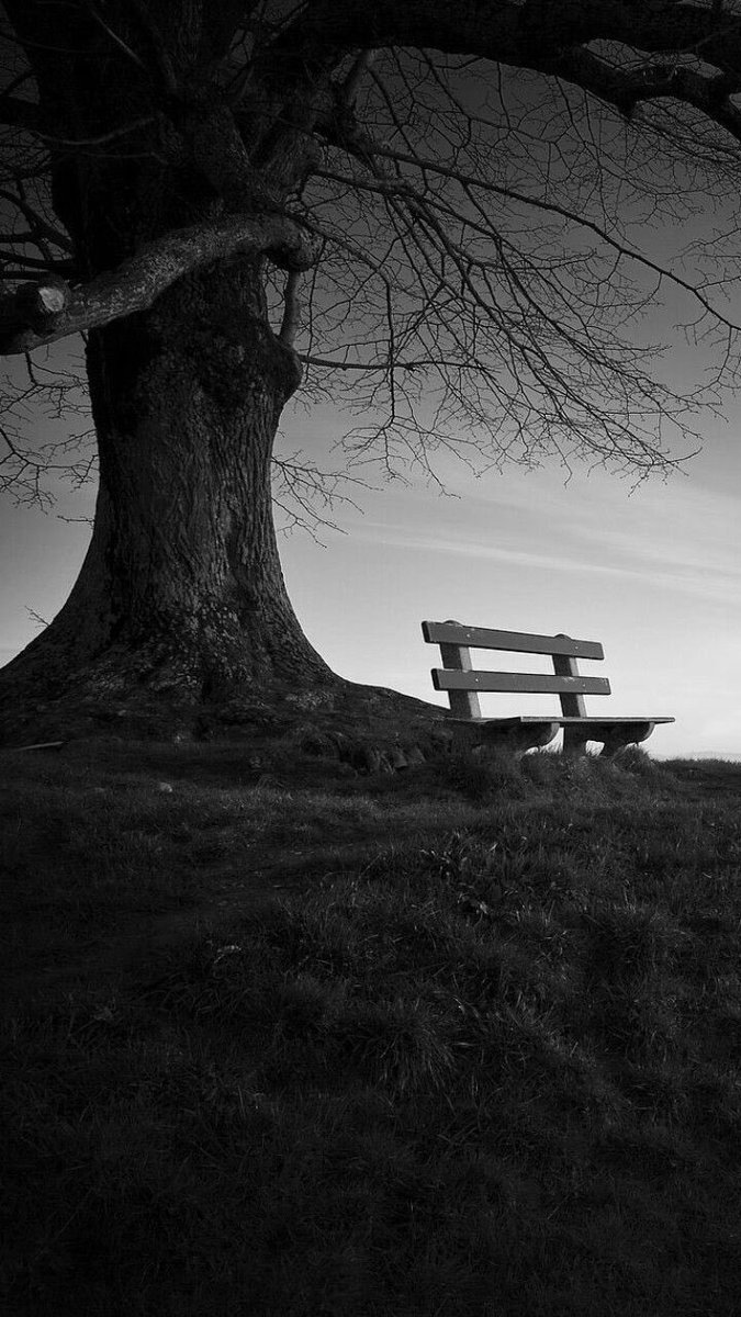 büyümenin ve yaşamı anlamanın en büyük göstergesi,

“tartışayı ve kendini anlatmayı bırakmaktır..”
.