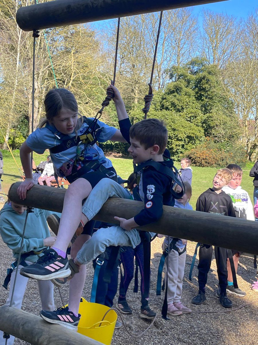 BVS Year 4 tweet media