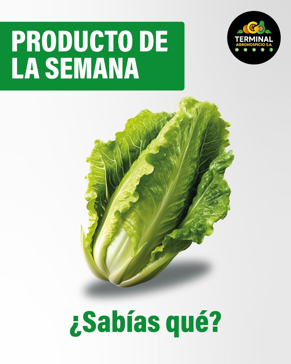 La Lechuga, conoce su historia en nuestro IG