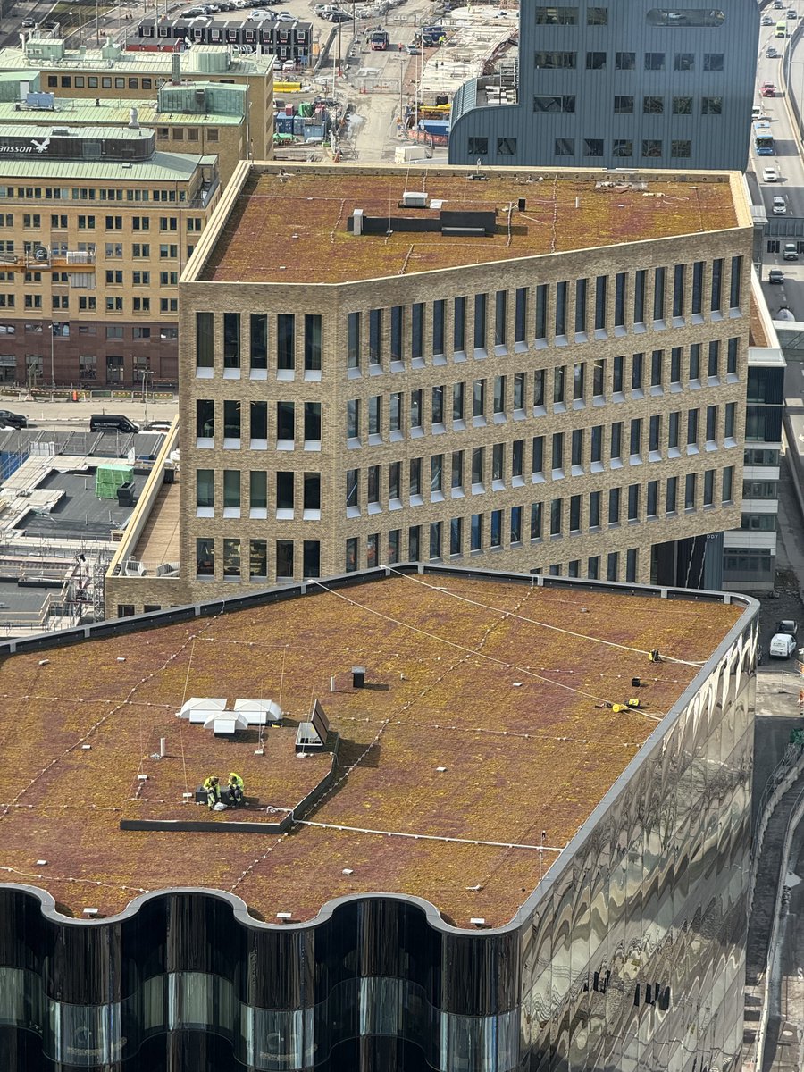 OscFor's tweet image. Ok, jag hade bra utsikt på lunchen, men får nog känna mig slagen… #lunchwithaview