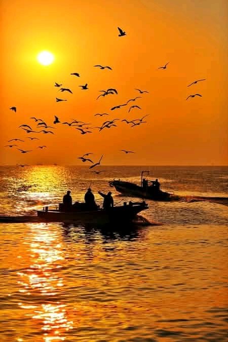 Si no luchas por lo que quieres, nunca lo tendrás. Si no preguntas, la respuesta será siempre no. Si no das el primer paso, nunca saldrás de donde estás. 
La vida es demasiado corta para tener más miedo que ganas. 
🖊 Karmoles 
#FelizMiercolesATodos