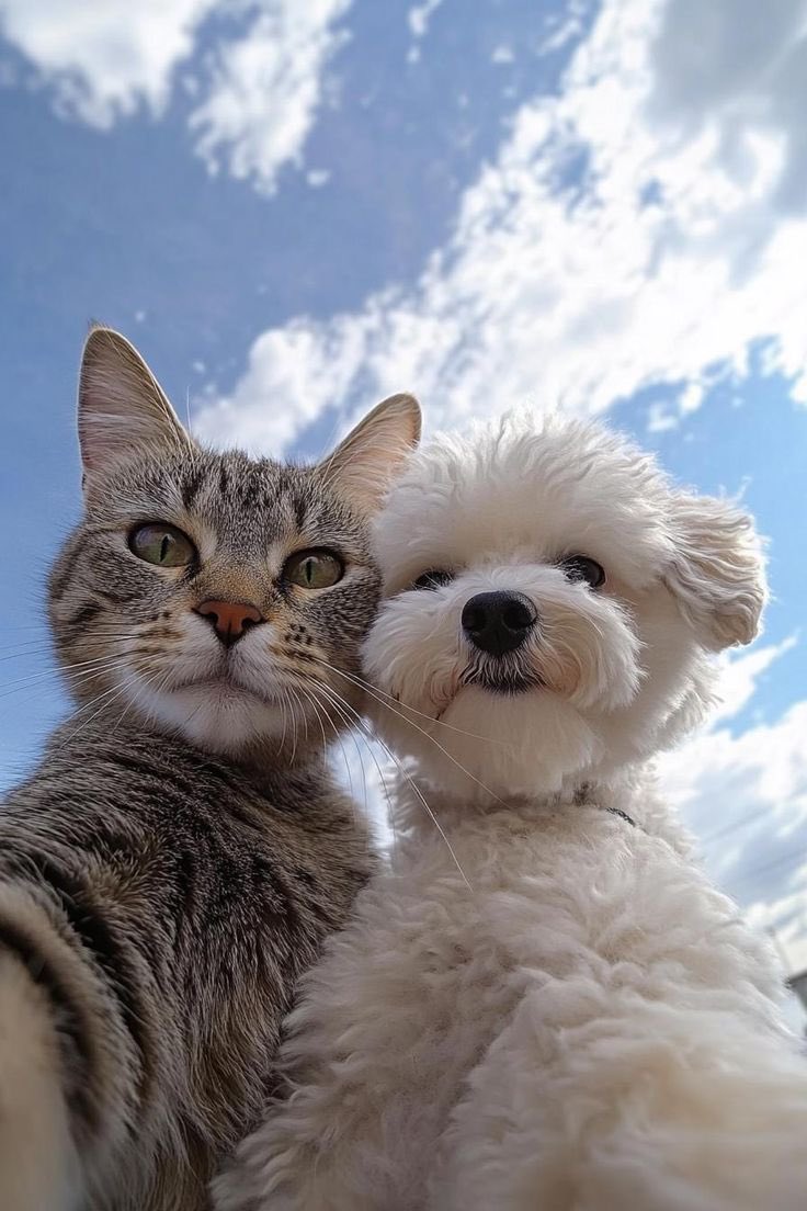 selfie