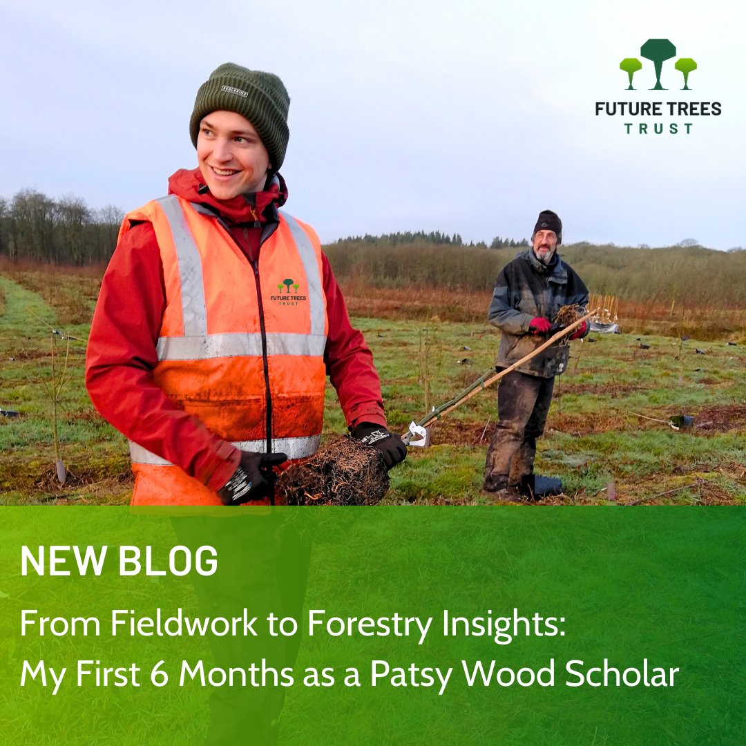 🌳 From planting 5000 dieback-tolerant ash trees to selecting ‘plus trees’ in the Lake District. Discover our Patsy Wood Scholar, Sam Carroll's experiences and insights in this latest blog post! 

🔗 See link to blog in thread.

In partnership with English Woodlands Forestry.