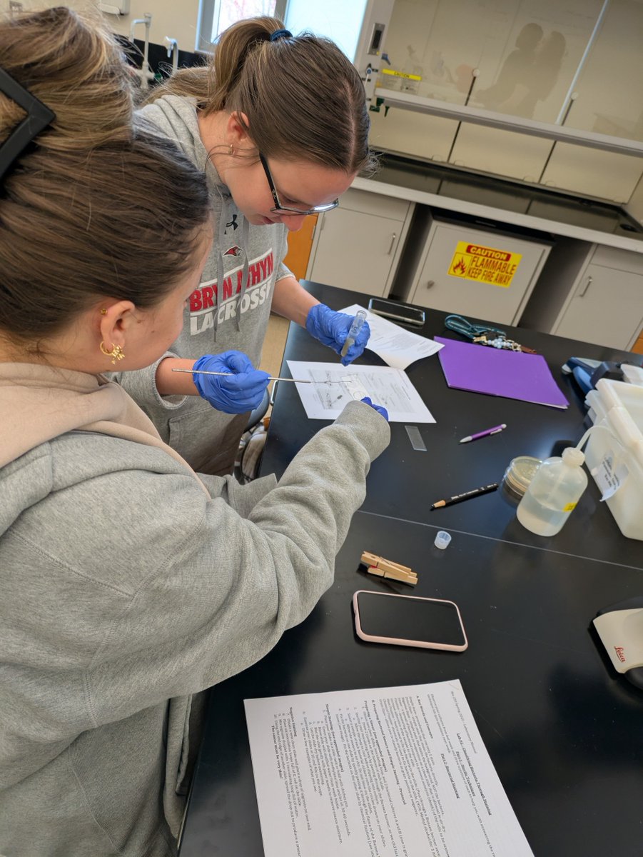 A peek into the classroom: yesterday morning students in a microbiology lab stained bacteria on slides and differentiated between gram + and gram - bacteria.