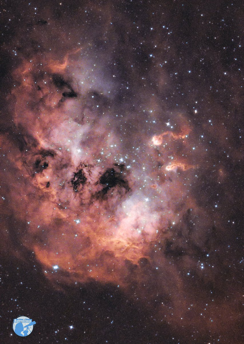 These clear skies are spoiling me, and I must admit, so is my observatory! Here’s last nights image. IC410 the tadpoles. 12000ly away in the constellation of Auriga! 
I’m actually feeling a little better today, which is nice. Still resting and not overdoing things #astronomy