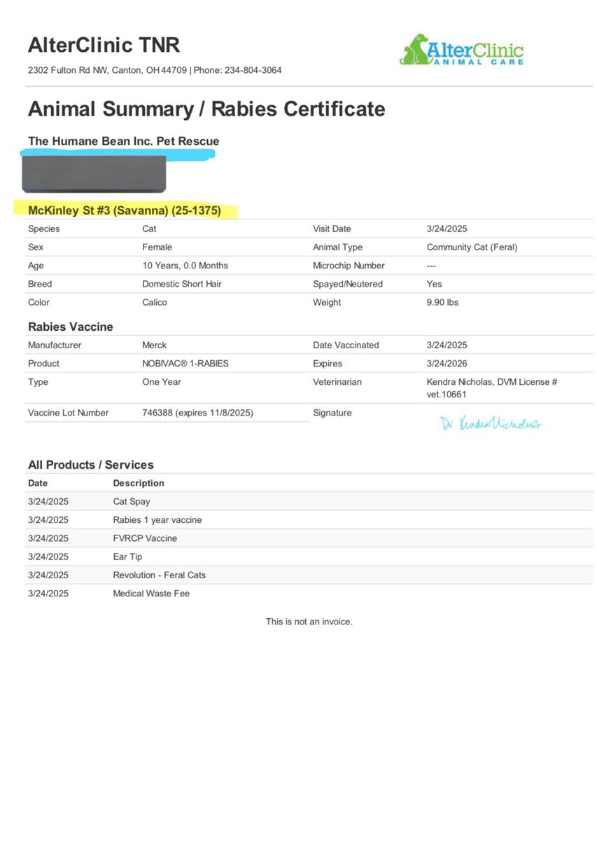 dovethedivine's tweet photo. i need help with these guys, I owe about $990 to the vet 😬👉👈 i will make a more in depth post when i have more time! thanks friends 😻

cshapp $TheHumaneBean
vnmo @TheHumaneBean
https://t.co/7t1fylJw2Q

donations are tax deductible https://t.co/nENXeg3weQ