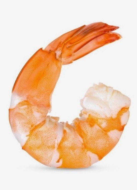 파야 꼬리인데 새우 닮았어요