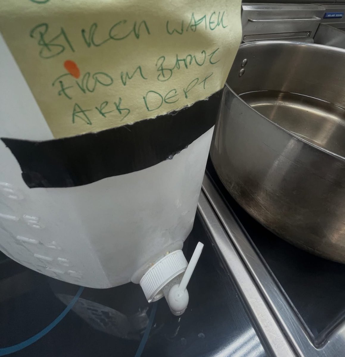 Making Silver Birch tree syrup today @plumptoncollege  #silverbirch #sap #syrup How exciting. This will be used to glaze out Hot X buns today #forage #seasonal #natural #nature #thegreatprovider
