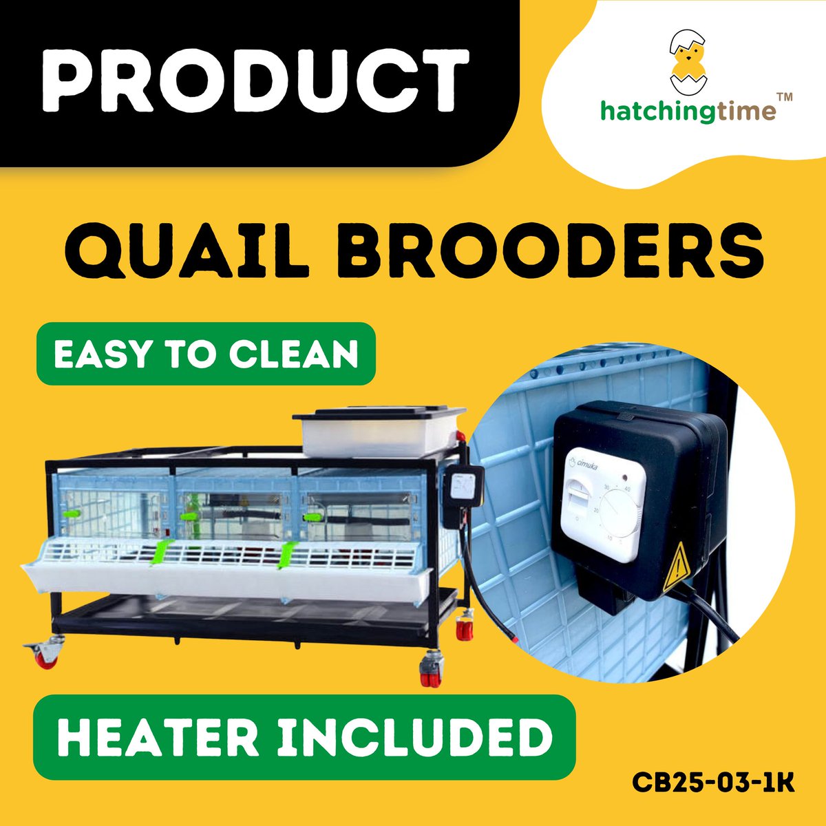 HatchingTime's tweet image. Have you been searching for the best brooder for your busy life?

Our patented design ensures perfect heat on every level with 20" self-regulated space heaters that are energy efficient. 

#HatchingTime #Cimuka #QuailBrooder