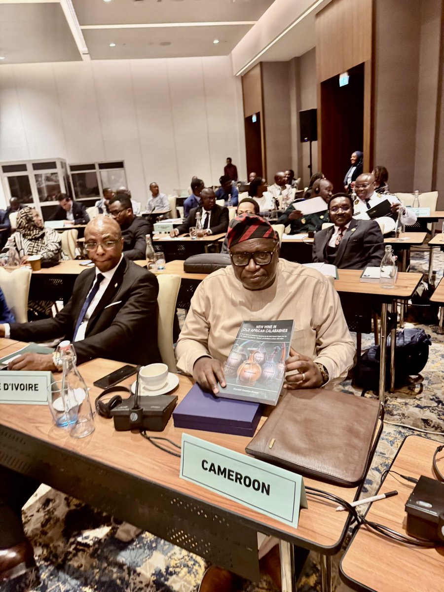 African Union Political Affairs Peace and Security tweet media