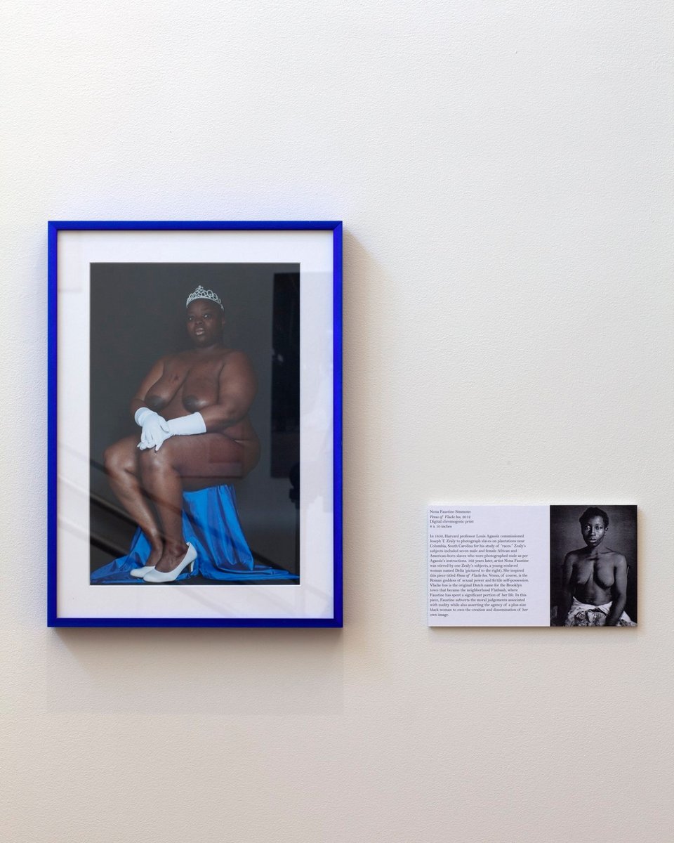 Always supportive of my work, Nona Faustine contributed this artwork to my first exhibition, which explored Harvard University's ties to slavery through contemporary art. She was deeply moved by the Zealy daguerreotypes, commissioned by Harvard professor Louis Agassiz to support