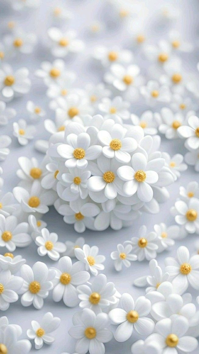 맑은어묵탕 (@soonji22choi) on Twitter photo 